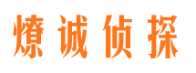 茂港调查公司